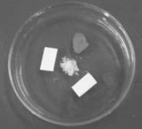 ���v��ĥ�n���㟒�F꠳ɾ͌W��