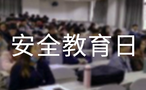 小學生安全教育日主題班會教案