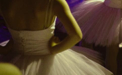 【熱】芭蕾之路作文