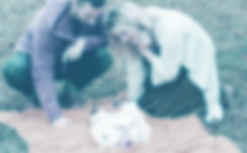 爸爸媽媽的愛作文