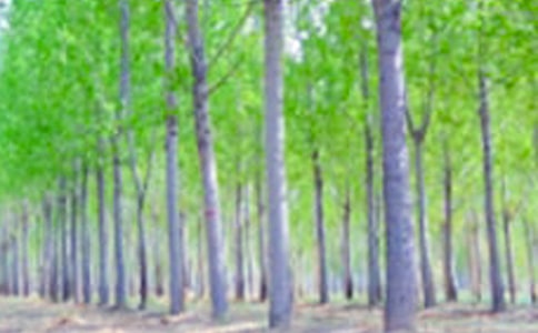 ���ח�Yٝ���̌W(xu��)˼·�O(sh��)Ӌ(j��)