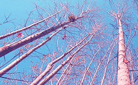 �ח�Yٝ�Z�Ľ̰�