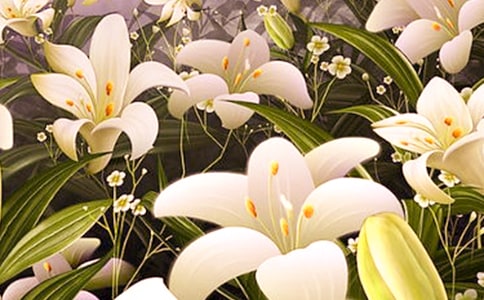 �ٺϻ��^����ӛ