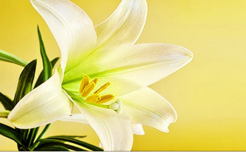 ���ݰٺϻ��ľ���27��