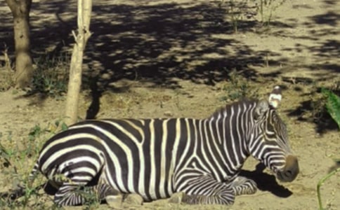 �Y׌���R������