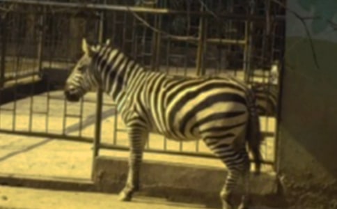 �����^���R����(bi��o)�Z