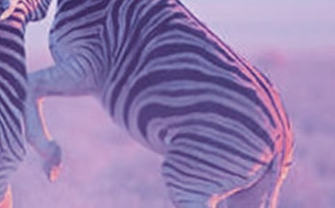 ���~���������Ҽҵİ��R�~��ͨ��59ƪ��