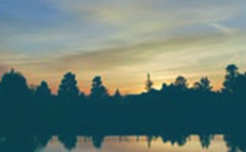 傍晚優(yōu)秀作文精選9篇