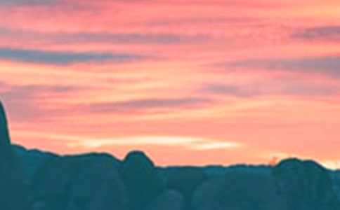 ���ݰ����ľ���25��