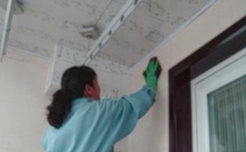 �����T��(g��)�˹������Y(ji��)������