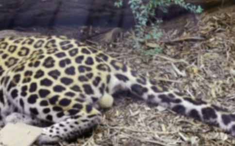 �������^��--���ӄP����