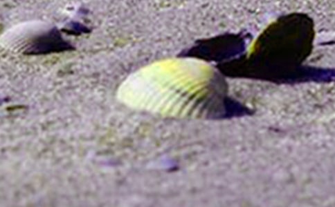 С�W(xu��)��ʰؐ������