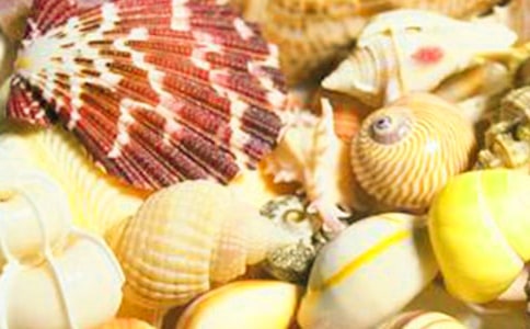 ��(xi��)ؐ��������