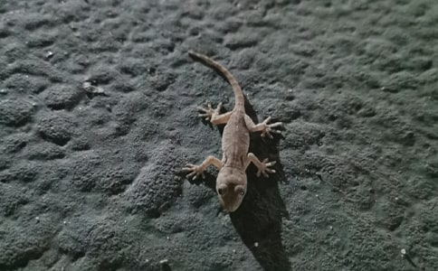 С�ڻ���β�����ĺϼ�15ƪ