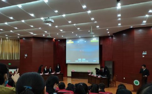 一場精彩的辯論賽作文