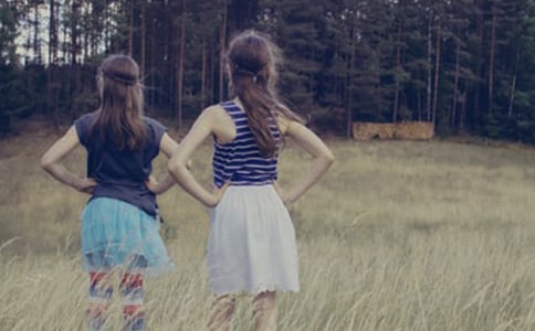 �o�����������