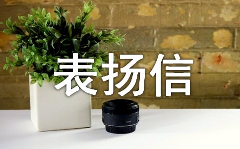 ��P�Ō�������