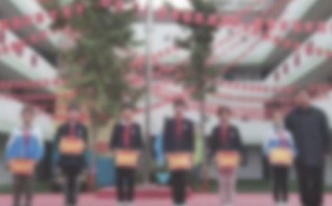 ***公司2005年春運(yùn)工作總結(jié)表彰大會(huì)籌備方案