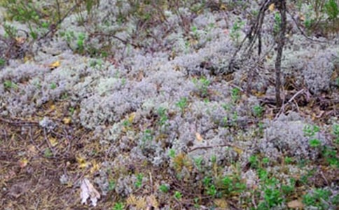 ������(y��u)������