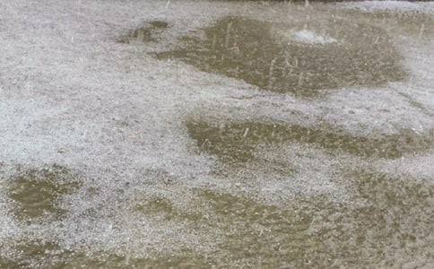 �±�������15ƪ