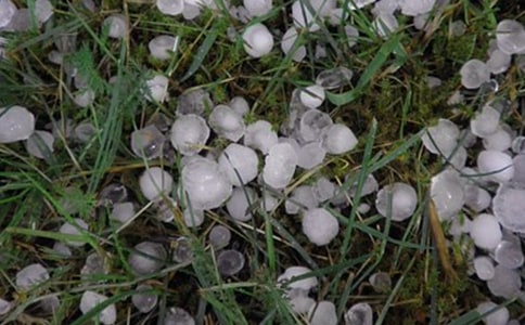 �±������ģ����x50ƪ��