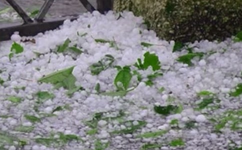 �±������ģ����x26ƪ��