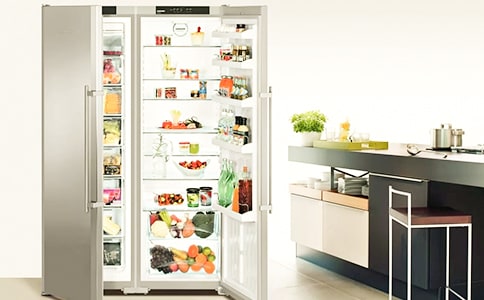 冰箱的自述作文600字