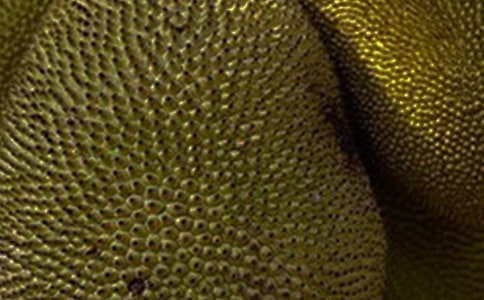 菠蘿蜜優(yōu)秀作文