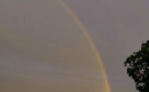 美術(shù)教案-七彩虹