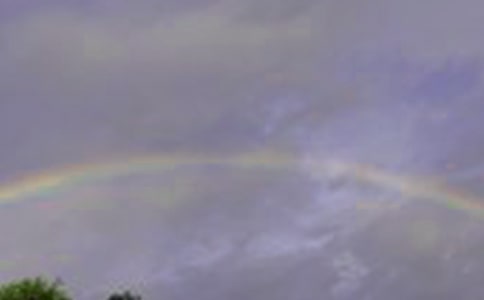 《彩虹》教學(xué)設(shè)計及反思