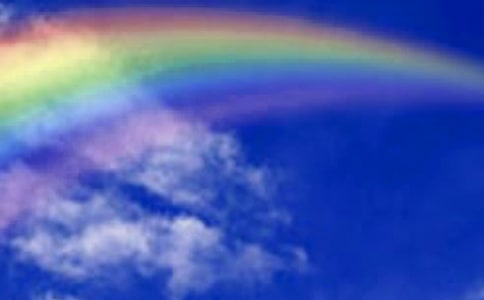 �茑�ʺ�ľ���