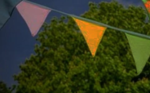 (優(yōu))小學美術彩旗飄飄教案