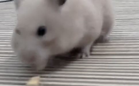 �P�ڂ}������