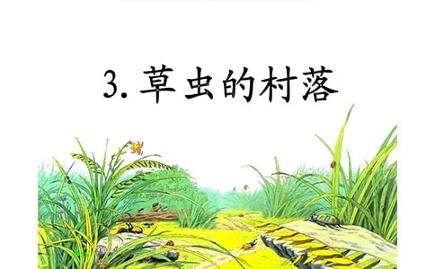 六年級(jí)上冊(cè)語文《草蟲的村落》教案