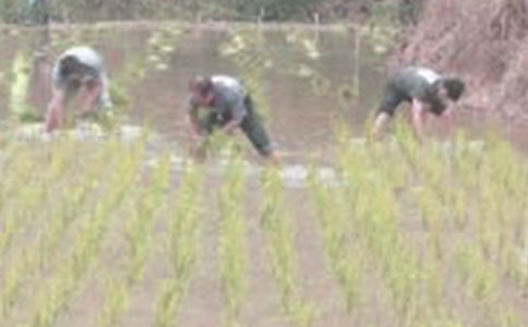 ���탞(y��u)������