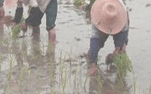 ���탞(y��u)�����ģ�ͨ��39ƪ��