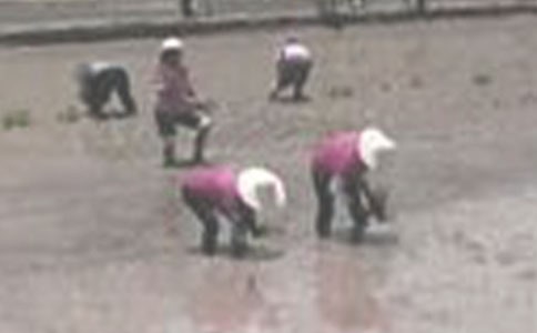 һ�꼉(j��)��(c��)�������� ����˼��