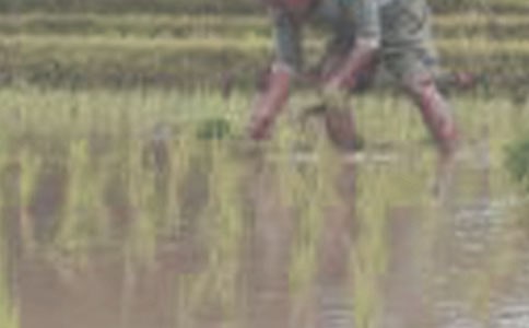 ���������̰��O(sh��)Ӌ(j��)