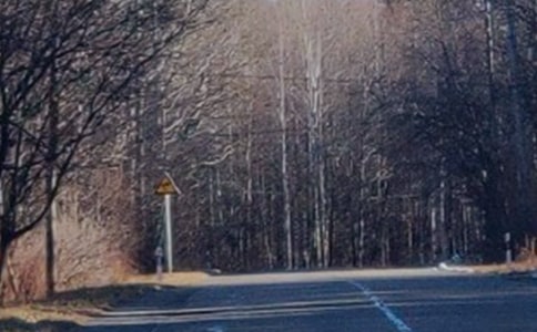 長(zhǎng)白山景色優(yōu)秀作文(通用9篇)