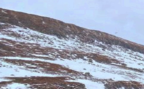 長白山的風(fēng)景小學(xué)生作文400字(通用29篇)