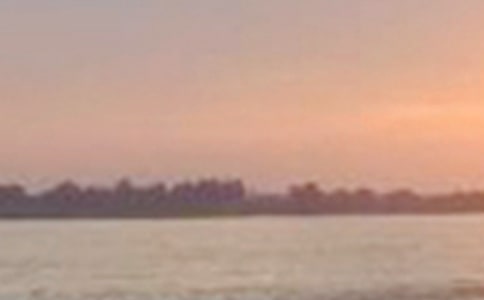 共護(hù)長江水同繪新答卷優(yōu)秀作文