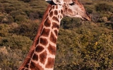 ������g(sh��)�L(zh��ng)�i¹�̰�10ƪ