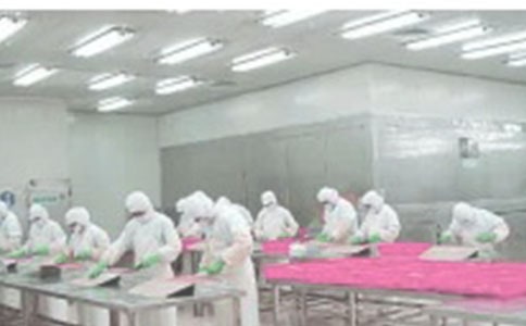 �P(gu��n)��܇�g������K�������Y(ji��)