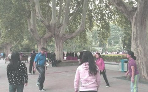 �P(gu��n)�ڳ�������