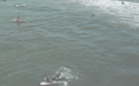 【精品】海邊沖浪作文