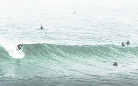 �P(gu��n)�ڛ_������