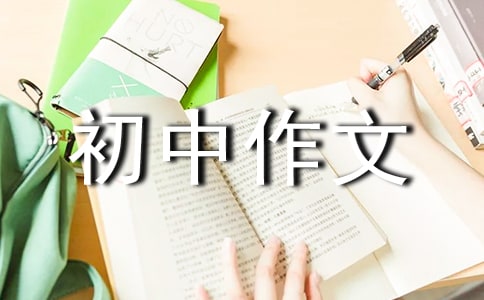 精選優(yōu)秀初中作文300字九篇