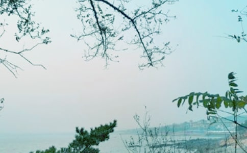 (��(j��ng)��)���L(f��ng)ʮ������15ƪ