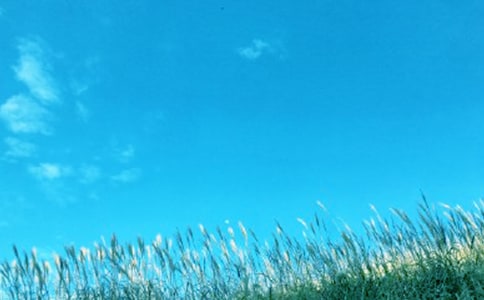 春風吹過我心田