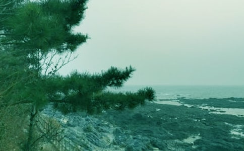 ����һ�괺�L������